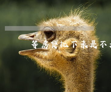 等房贷批下来是不是逾期付款