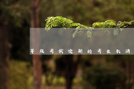 等级考试逾期的考生取消考试 等级考试逾期的考生取消考试