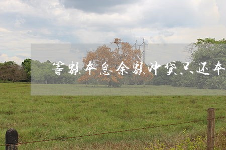 等额本息余额冲贷只还本金吗 等额本息余额冲贷只还本金吗
