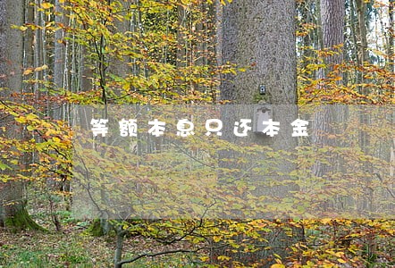等额本息只还本金 等额本息只还本金