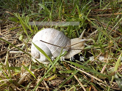 等额本息还款逾期一个月怎么办 等额本息还款逾期一个月怎么办