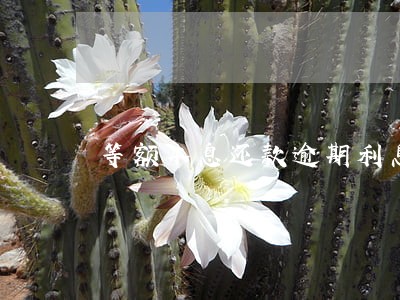 等额本息还款逾期利息计算 等额本息还款逾期利息计算