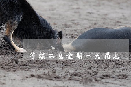 等额本息逾期一天罚息 等额本息逾期一天罚息