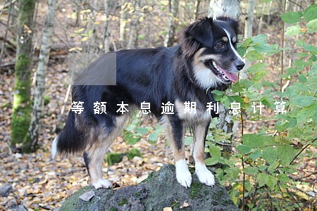 等额本息逾期利息计算 等额本息逾期利息计算