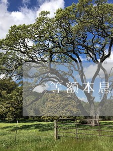 等额本息逾期罚息怎么算 等额本息逾期罚息怎么算