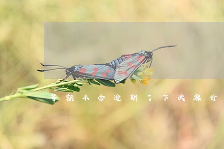 等额本金逾期了下次涨价了 等额本金逾期了下次涨价了