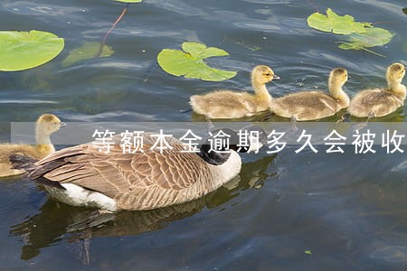 等额本金逾期多久会被收回 等额本金逾期多久会被收回