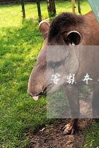 等额本金逾期怎么算 等额本金逾期怎么算
