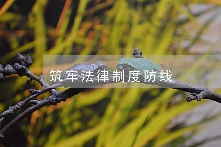 筑牢法律制度防线