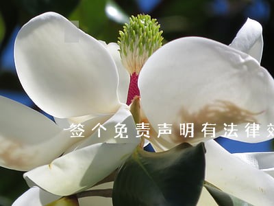 签个免责声明有法律效力吗 签个免责声明有法律效力吗