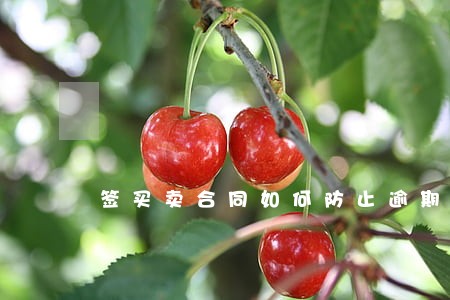 签买卖合同如何防止逾期不付款 签买卖合同如何防止逾期不付款