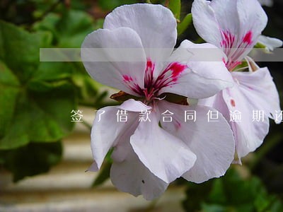 签了借款合同但逾期还不上钱 签了借款合同但逾期还不上钱