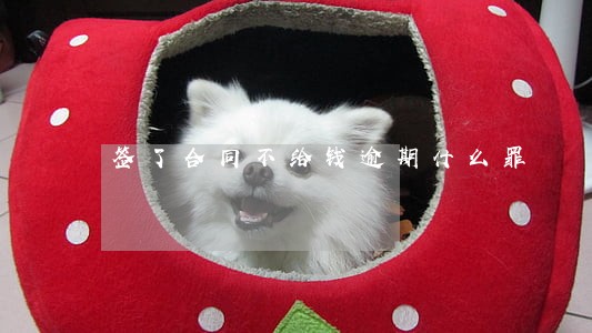 签了合同不给钱逾期什么罪 签了合同不给钱逾期什么罪