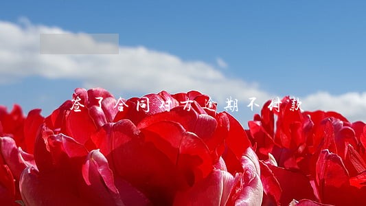签了合同对方逾期不付款 签了合同对方逾期不付款