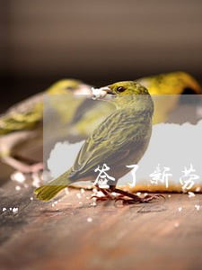 签了新劳动合同法 签了新劳动合同法
