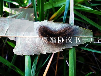 签了离婚协议书一方出轨 签了离婚协议书一方出轨