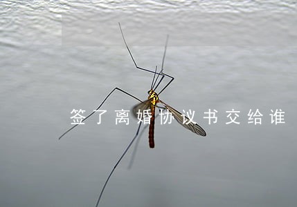 签了离婚协议书交给谁 签了离婚协议书交给谁