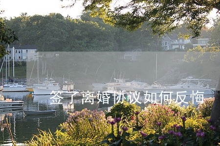 签了离婚协议如何反悔 签了离婚协议如何反悔