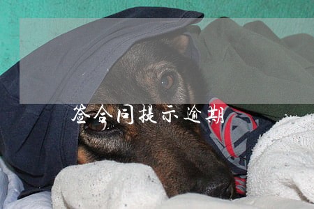 签合同提示逾期 签合同提示逾期