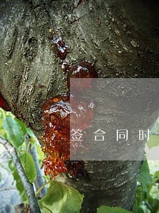 签合同时逾期多少时间是违约 签合同时逾期多少时间是违约