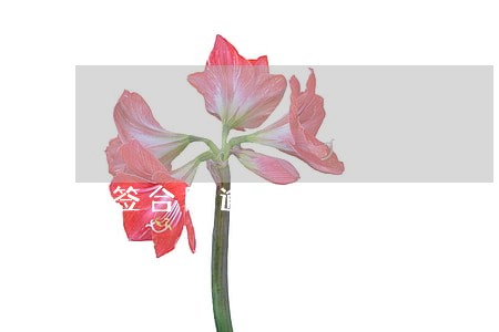 签合同逾期付款的声明 签合同逾期付款的声明