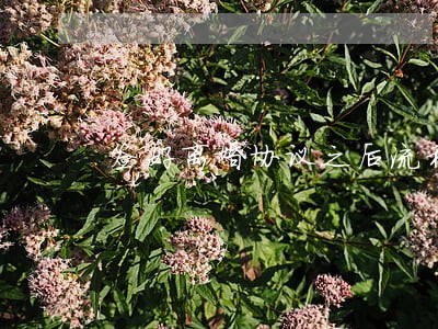 签好离婚协议之后流程 签好离婚协议之后流程