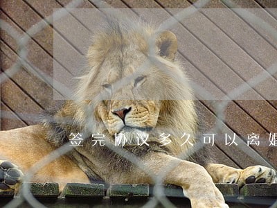 签完协议多久可以离婚 签完协议多久可以离婚