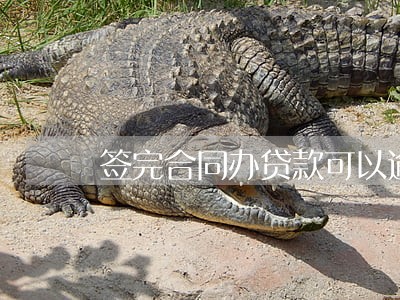 签完合同办贷款可以逾期