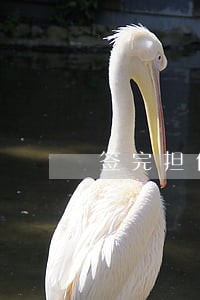 签完担保协议可以离婚吗 签完担保协议可以离婚吗