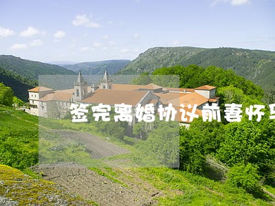 签完离婚协议前妻怀孕 签完离婚协议前妻怀孕