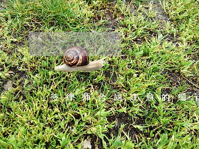 签律师合同注意的细节 签律师合同注意的细节
