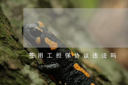 签用工担保协议违法吗 签用工担保协议违法吗