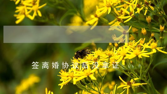 签离婚协议后没拿证