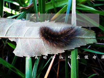 签离婚协议时应该冷漠吗 签离婚协议时应该冷漠吗