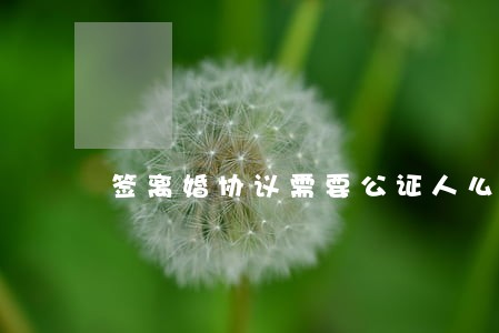 签离婚协议需要公证人么 签离婚协议需要公证人么