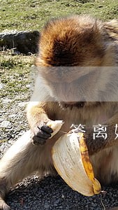 签离婚协议需要查财产么 签离婚协议需要查财产么