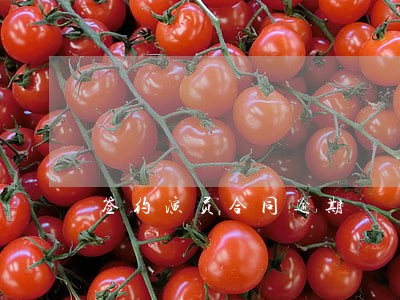 签约演员合同逾期 签约演员合同逾期
