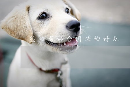 签订劳动合同法的好处 签订劳动合同法的好处