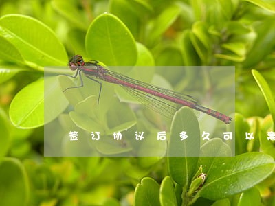 签订协议后多久可以离婚 签订协议后多久可以离婚