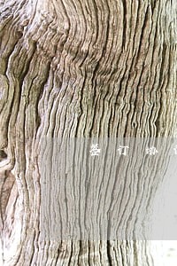 签订协议逾期不还 签订协议逾期不还