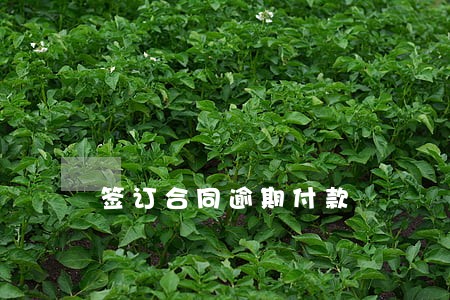 签订合同逾期付款 签订合同逾期付款