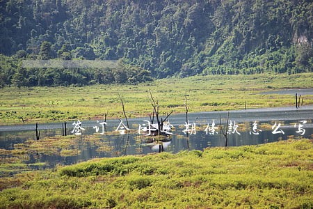 签订合同逾期条款怎么写 签订合同逾期条款怎么写