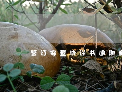 签订安置协议书逾期有什么后果吗 签订安置协议书逾期有什么后果吗