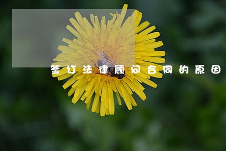 签订法律顾问合同的原因 签订法律顾问合同的原因