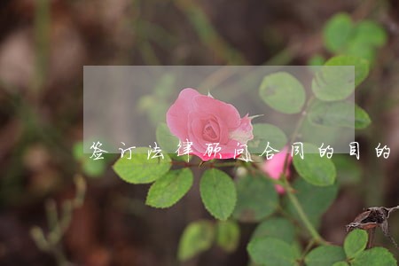 签订法律顾问合同的目的 签订法律顾问合同的目的