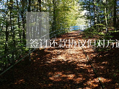 签订还款协议但对方逾期不还 签订还款协议但对方逾期不还