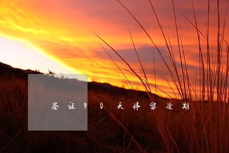 签证90天停留逾期 签证90天停留逾期