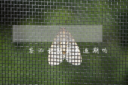 签证到期日算逾期吗 签证到期日算逾期吗