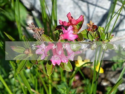 签证到期逾期滞留乌克兰