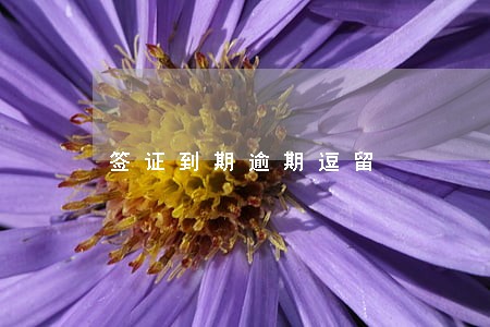 签证到期逾期逗留 签证到期逾期逗留